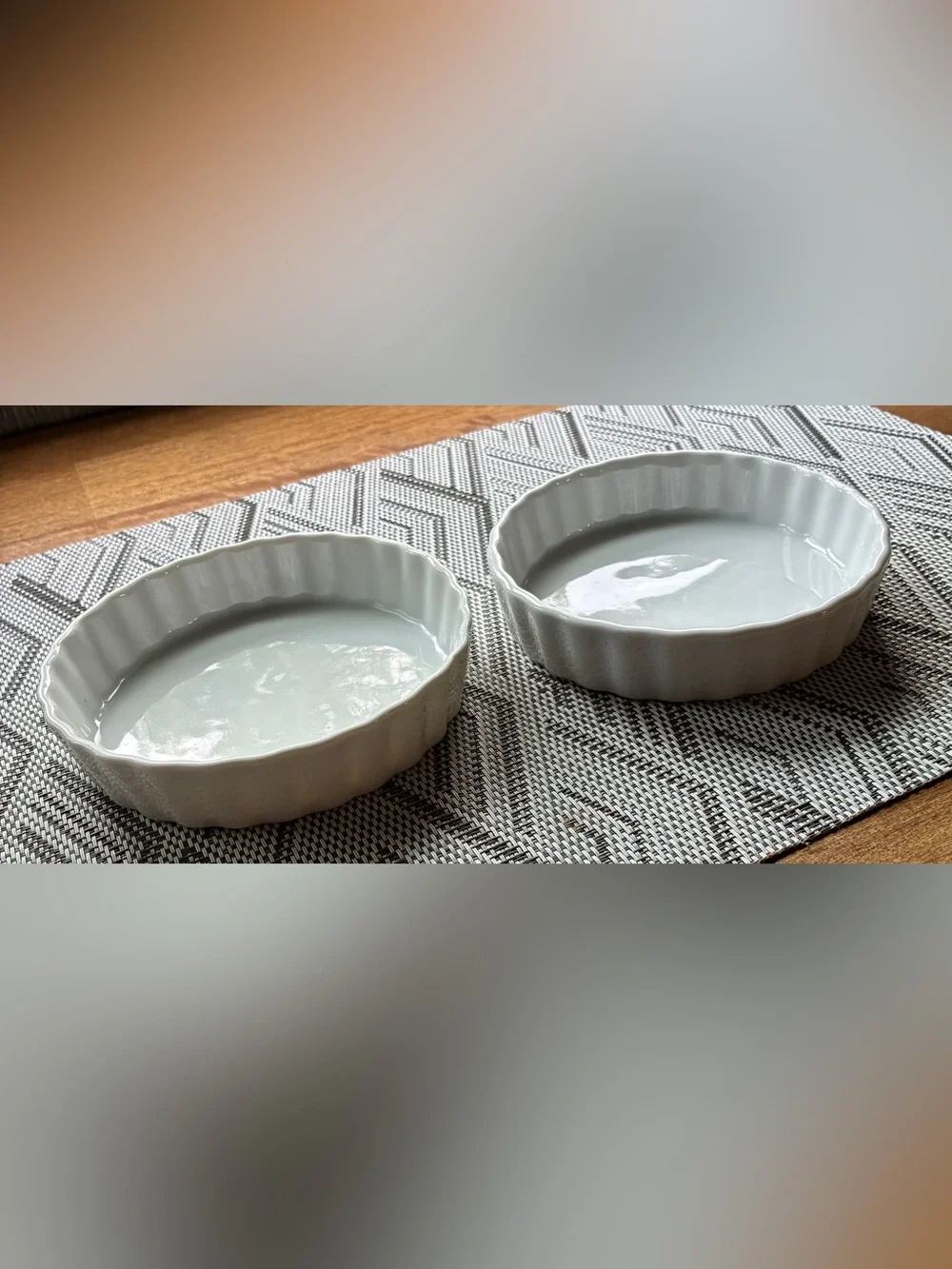 Set of 2 HIC Fine China 5